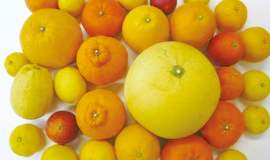 日本一を誇る柑橘生産量と品目数